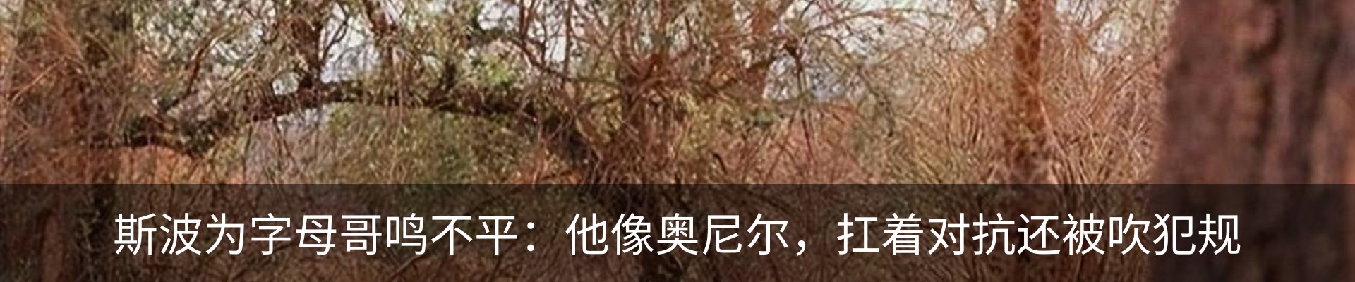 新闻中心